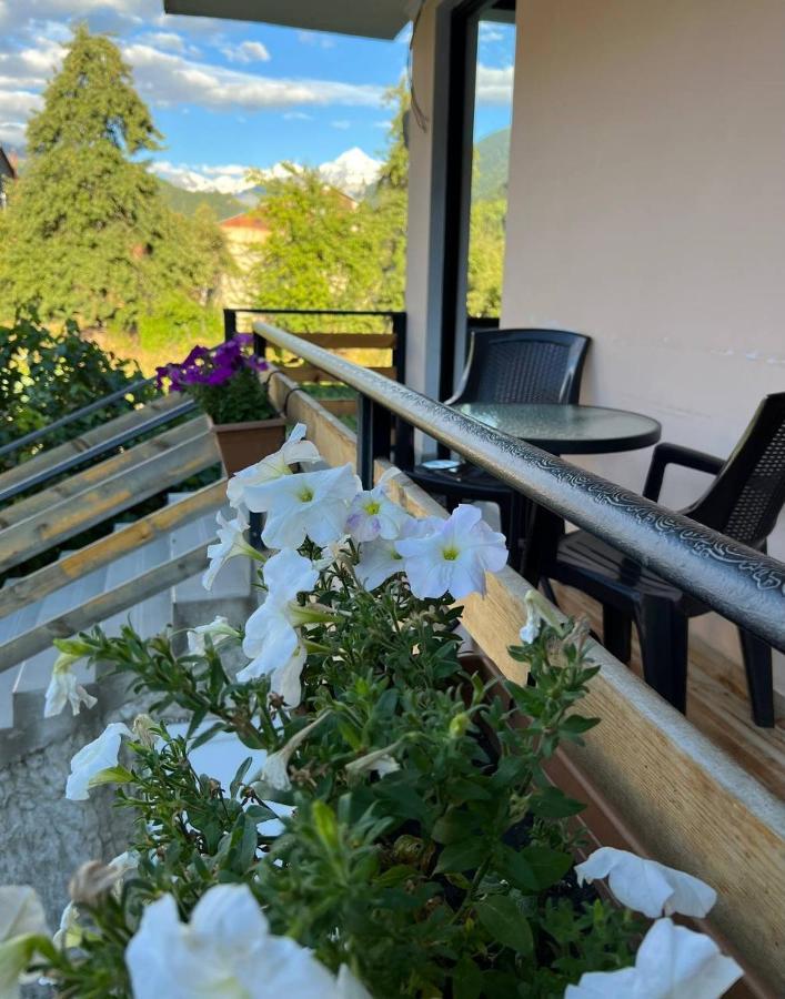 לינה וארוחת בוקר מסטיה Monte Bianco מראה חיצוני תמונה